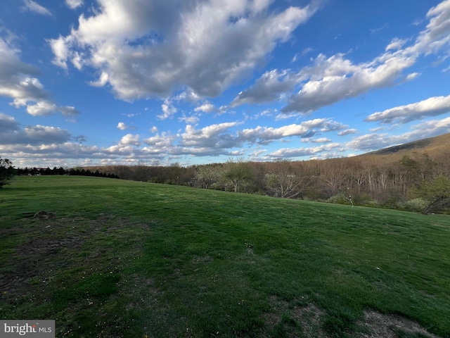 view of yard featuring a rural view