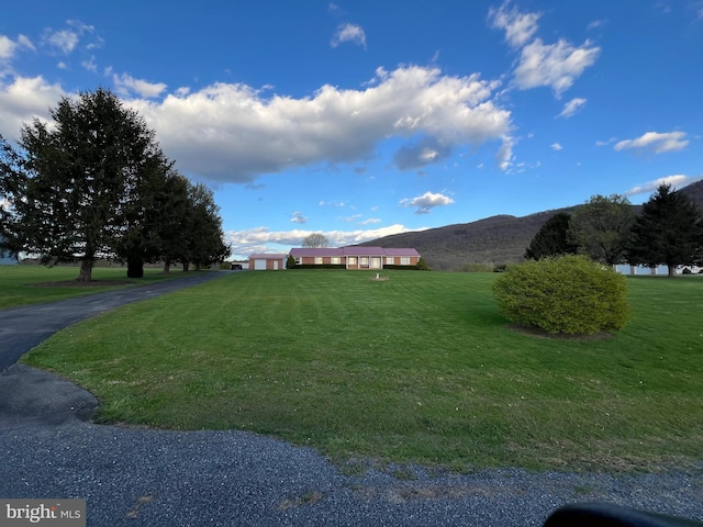 view of yard with a mountain view and driveway