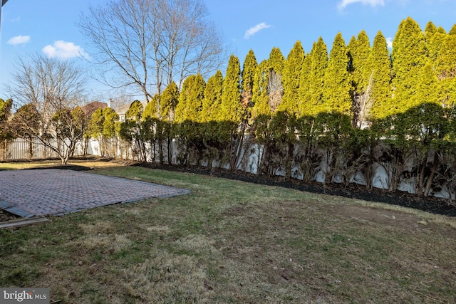 view of yard featuring a patio and a fenced backyard