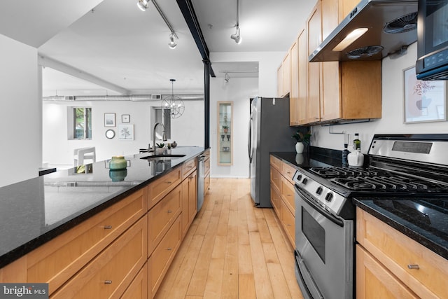 kitchen featuring appliances with stainless steel finishes, track lighting, a sink, light wood-style floors, and under cabinet range hood