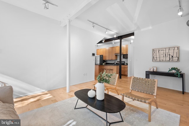 living area featuring light wood-type flooring, decorative columns, and rail lighting