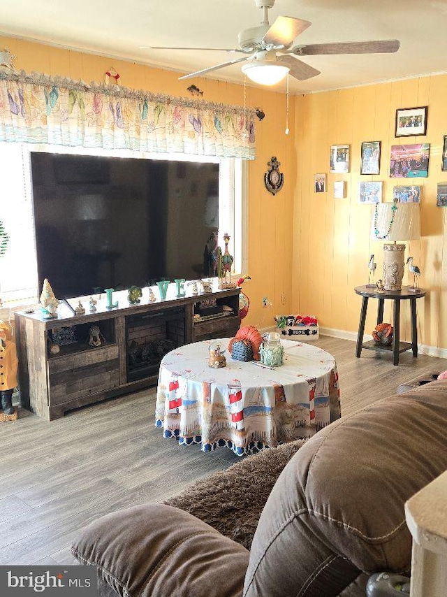 living room featuring ceiling fan and wood finished floors