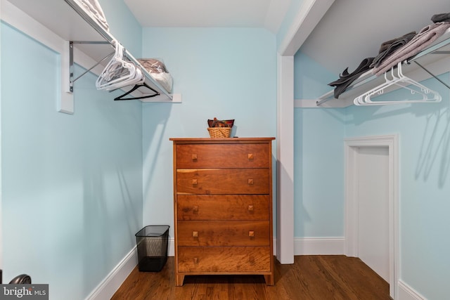 walk in closet featuring wood finished floors