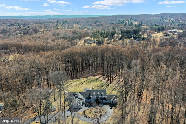 bird's eye view with a forest view