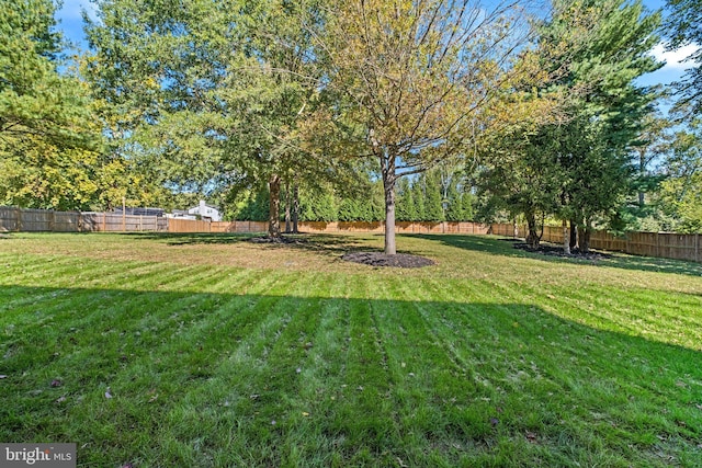 view of yard featuring a fenced backyard