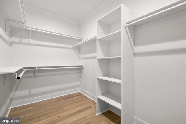 walk in closet featuring wood finished floors