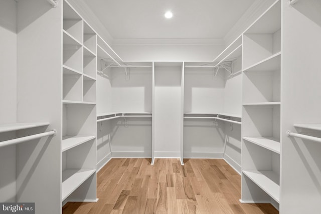 spacious closet featuring wood finished floors