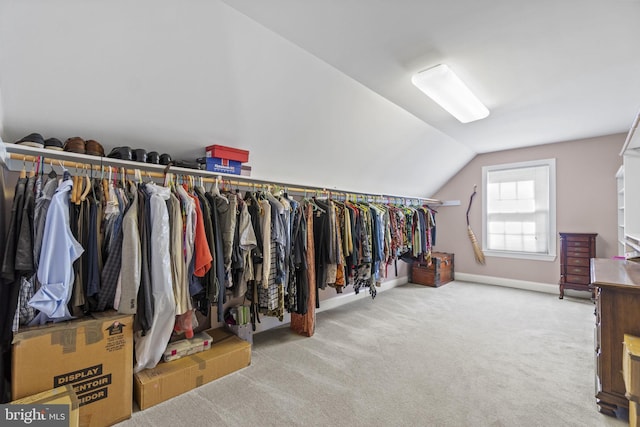 walk in closet with lofted ceiling and carpet floors