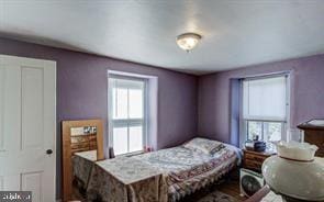 bedroom with multiple windows