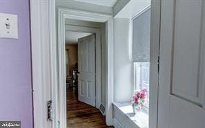 hallway featuring dark wood-type flooring