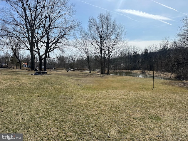 view of yard featuring a water view