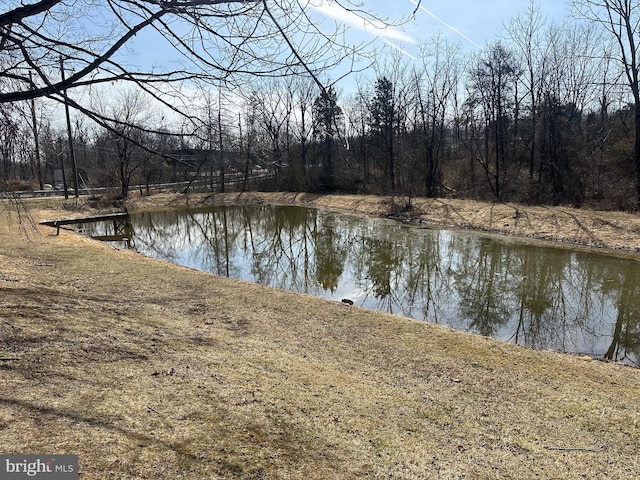 view of water feature featuring a view of trees