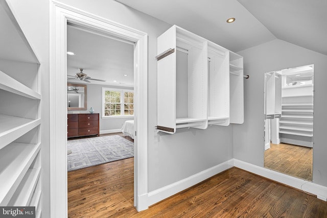 walk in closet featuring wood finished floors, ceiling fan, and vaulted ceiling