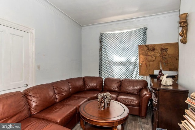 living room with wood finished floors and ornamental molding