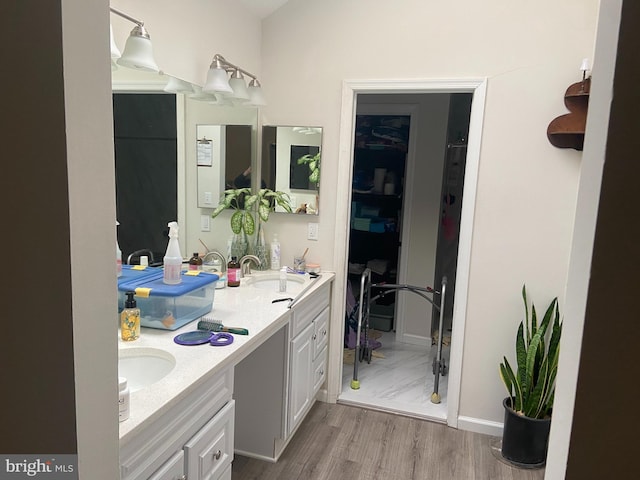 bathroom with a sink, wood finished floors, and double vanity