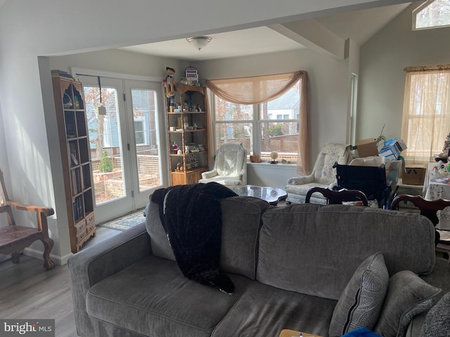 living area featuring plenty of natural light, wood finished floors, and vaulted ceiling