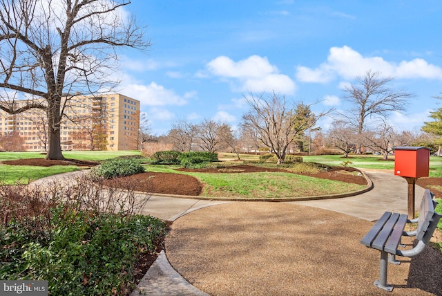 view of home's community with a yard