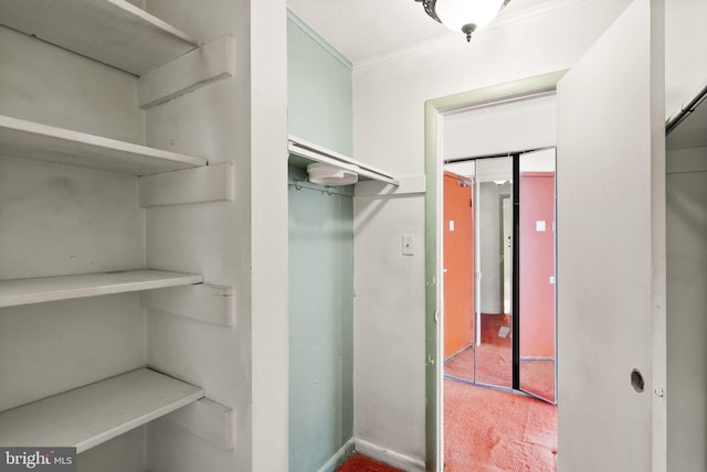 spacious closet with carpet floors