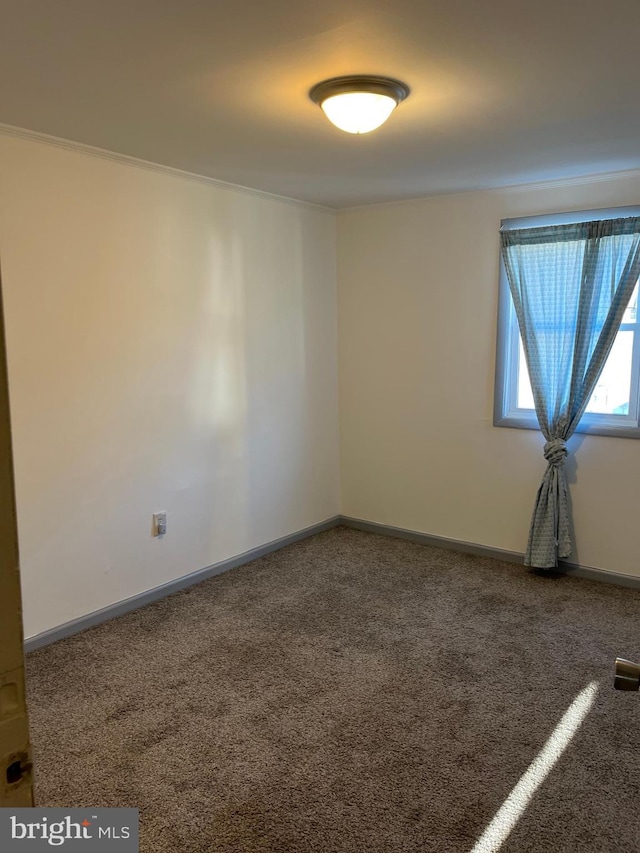 unfurnished room with baseboards, carpet floors, and ornamental molding