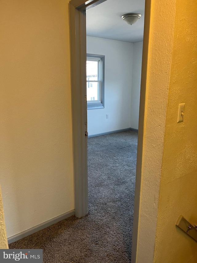 hallway with baseboards and carpet floors