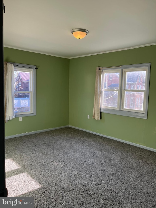 empty room with carpet flooring, baseboards, and ornamental molding