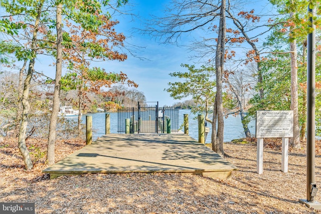 dock area featuring a gate and a water view