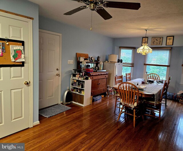 dining space featuring a textured ceiling, wood finished floors, and ceiling fan with notable chandelier