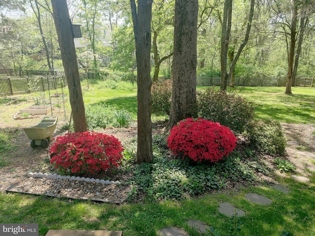 view of yard featuring a vegetable garden and fence