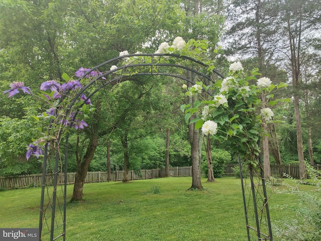 view of yard featuring a fenced backyard