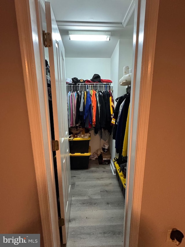 walk in closet featuring wood finished floors