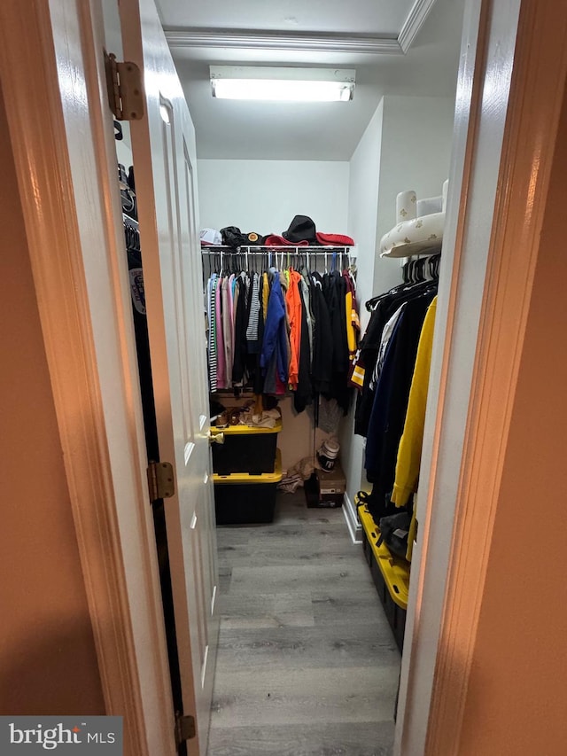 spacious closet featuring wood finished floors