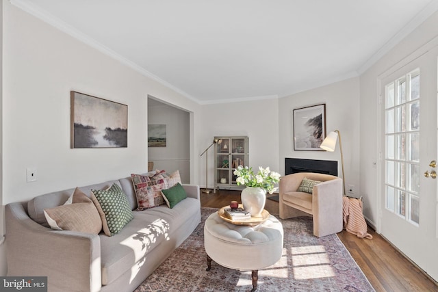 living room featuring wood finished floors, a fireplace, and ornamental molding