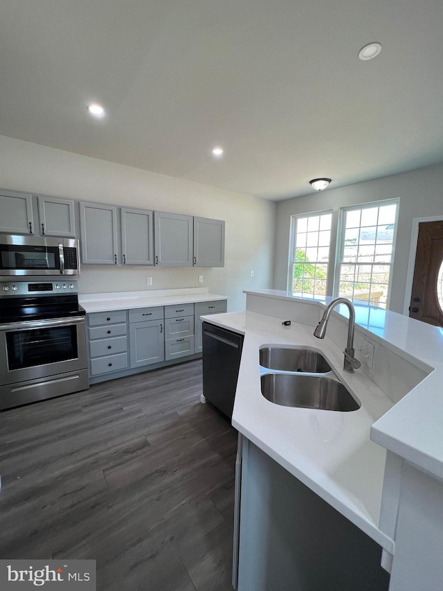 kitchen featuring dark wood-type flooring, light countertops, gray cabinets, stainless steel appliances, and a sink