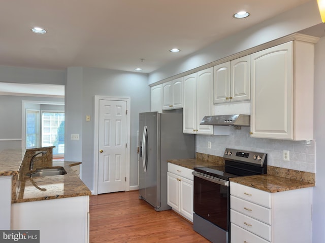 kitchen featuring light wood-type flooring, a sink, under cabinet range hood, tasteful backsplash, and stainless steel appliances