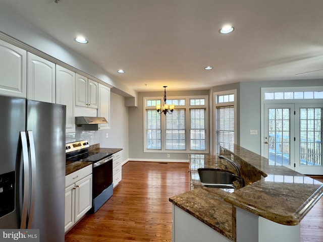 kitchen with dark wood-style flooring, a sink, under cabinet range hood, appliances with stainless steel finishes, and backsplash