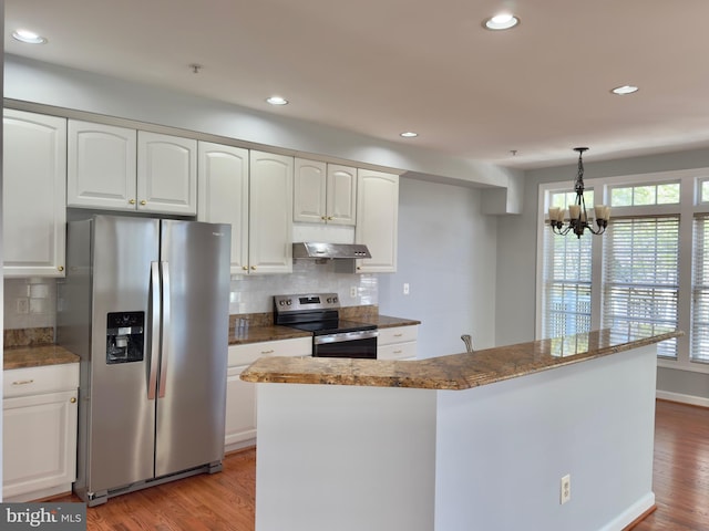 kitchen featuring under cabinet range hood, backsplash, stainless steel appliances, and light wood-type flooring