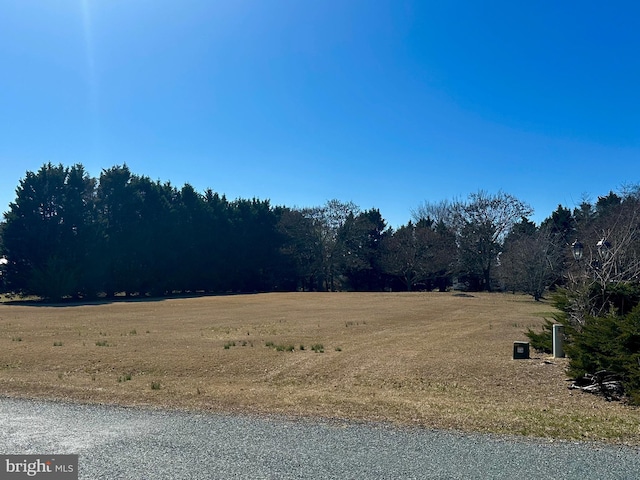 4113 Whiteleyville Rd, Hurlock MD, 21643 land for sale