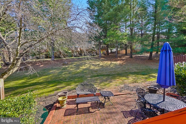 view of yard featuring a patio