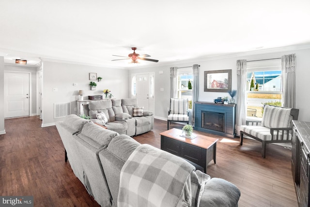 living area with plenty of natural light, dark wood finished floors, a fireplace, and ornamental molding