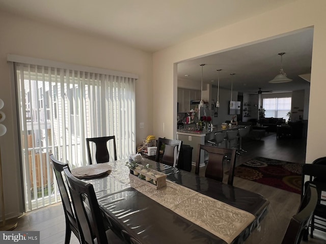 dining space featuring ceiling fan and wood finished floors