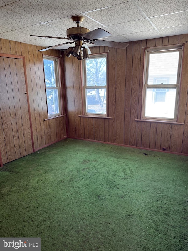 unfurnished room featuring a drop ceiling, carpet flooring, wood walls, and a wealth of natural light