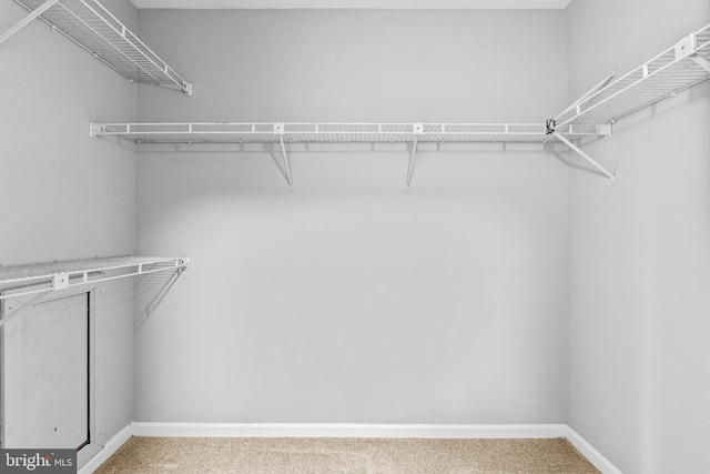 walk in closet with light carpet