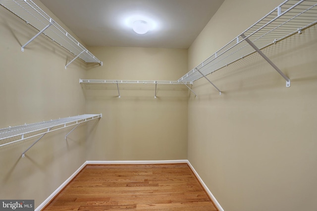 spacious closet featuring wood finished floors