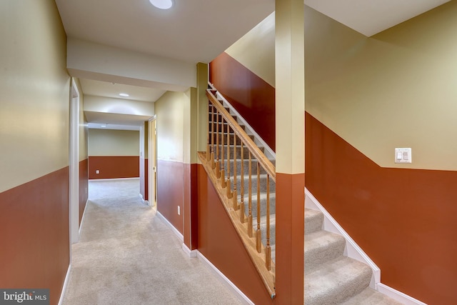 staircase with carpet and wainscoting