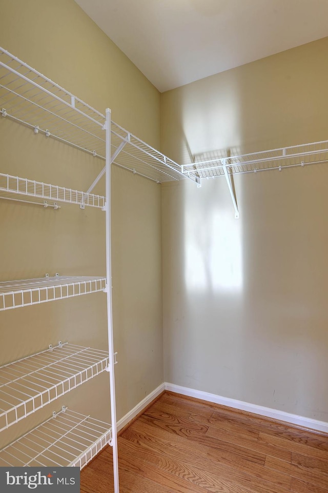 spacious closet featuring wood finished floors