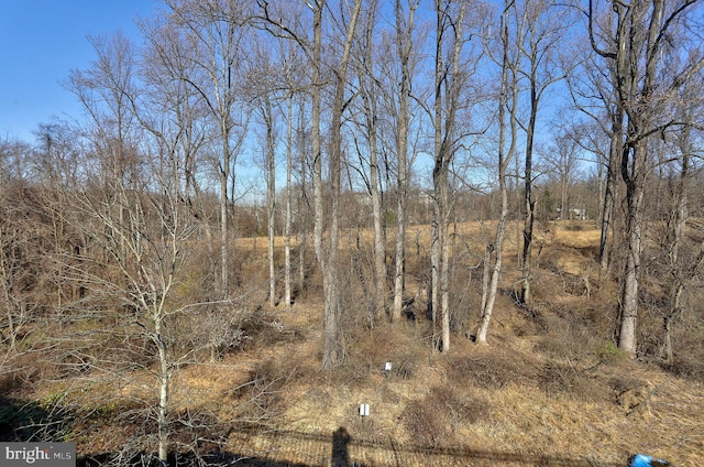 view of local wilderness