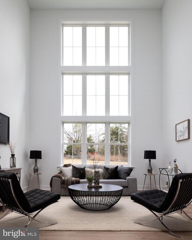 living area featuring wood finished floors, baseboards, and a towering ceiling