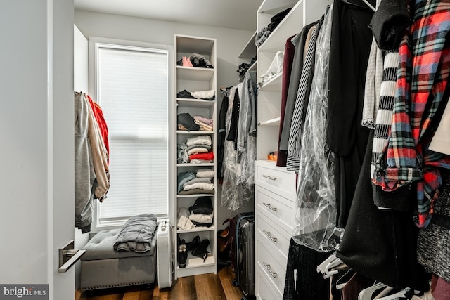 spacious closet with dark wood finished floors