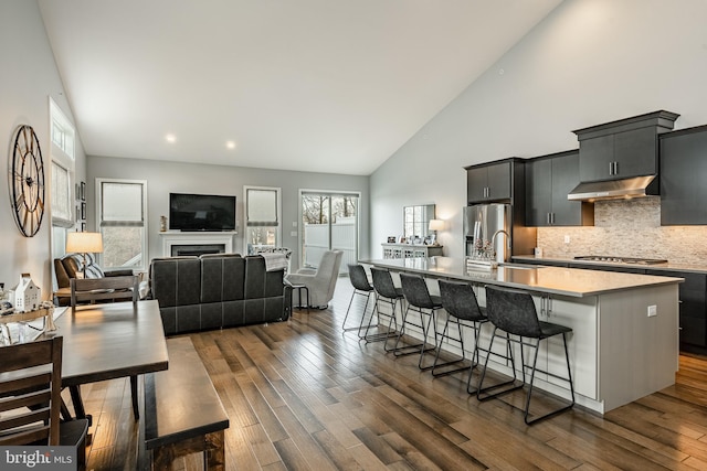 kitchen featuring an island with sink, under cabinet range hood, stainless steel appliances, a fireplace, and light countertops