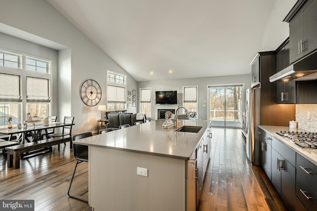 kitchen with under cabinet range hood, an island with sink, appliances with stainless steel finishes, a fireplace, and a sink